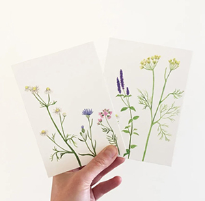 Postkarten mit Blumenmotiven von Hand illustriert